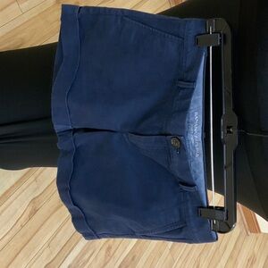 Banana Republic Deep Blue Casual Shorts
